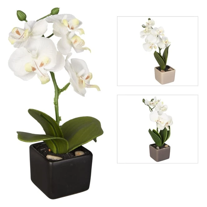Orchidee - Ca. 18 Cm - 1 StĂŒck â Bild 4
