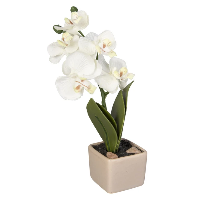 Orchidee - Ca. 18 Cm - 1 StĂŒck â Bild 3