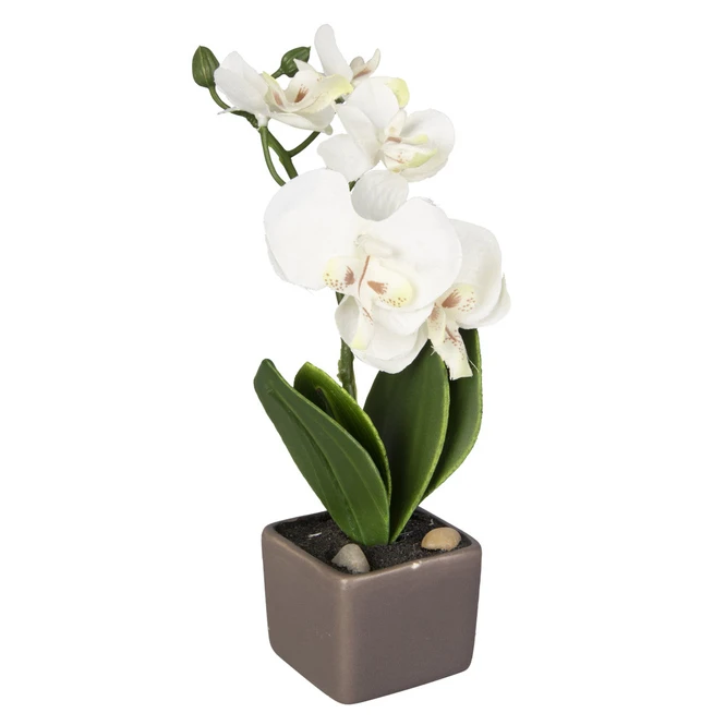 Orchidee - Ca. 18 Cm - 1 StĂŒck â Bild 5