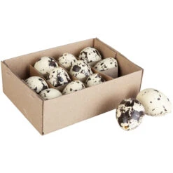 Wachteleier - 4 Cm - 12 StĂŒck