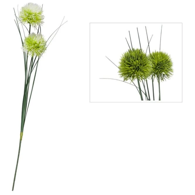 Allium - Ca. 48 Cm - 1 StĂŒck â Bild 4