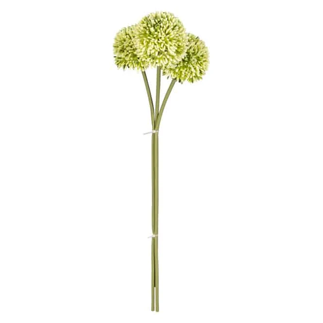 Allium - Ca. 46 Cm