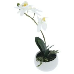 Orchidee - 25 Cm