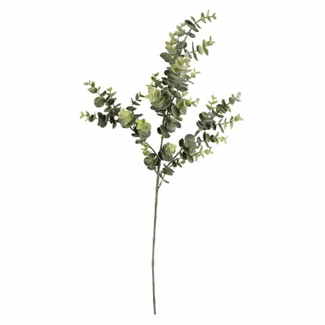 Eukalyptuszweig - Ca. 70 Cm â Bild 2