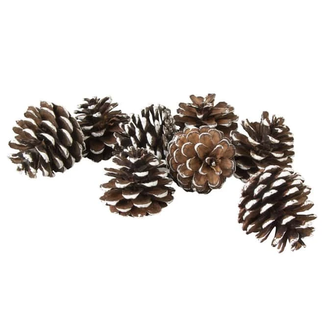 Tannenzapfen Mit Kunstschnee - Aus Holz - Ca. 6 Cm - 8 StĂŒck â Bild 2