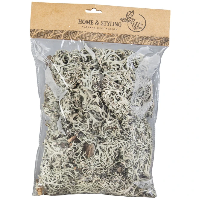 Deko-Moos - Aus Holz - 100 G â Bild 3