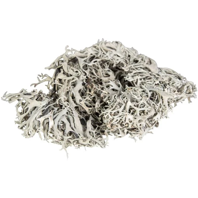 Deko-Moos - Aus Holz - 100 G â Bild 2