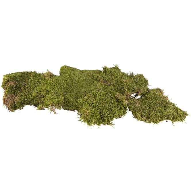 Deko-Moos - 100 G â Bild 2