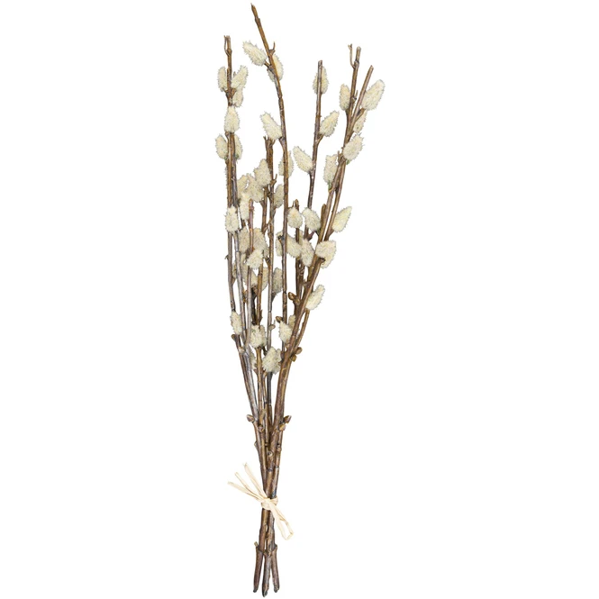 Weidenkätzchen - Ca. 42 Cm – Bild 2