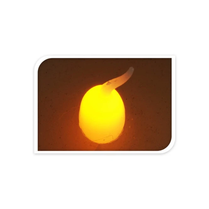 LED-Kerze - Aus Echtwachs - Ca. 7 X 9 Cm - Dunkelrot â Bild 2