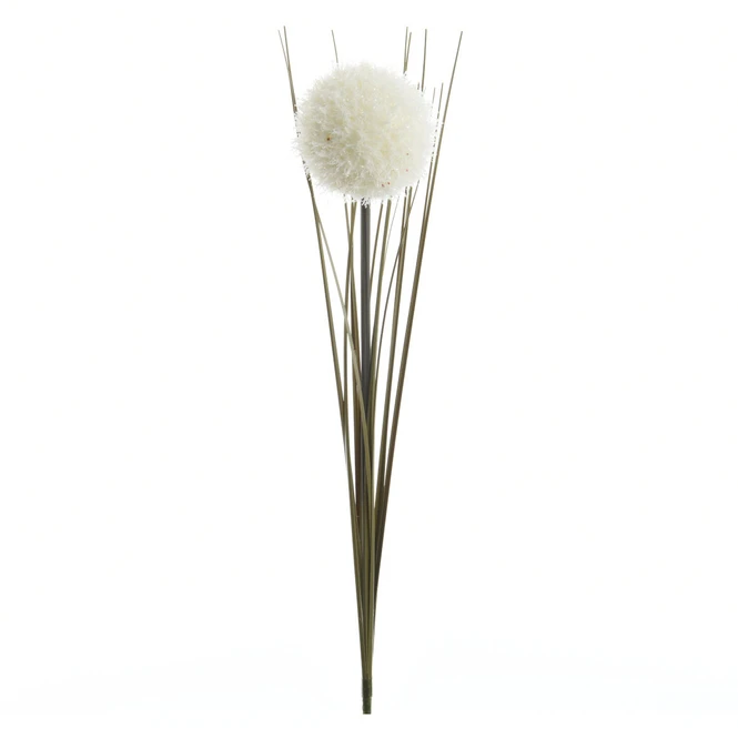 Allium - Ca. 66 Cm - Weiß