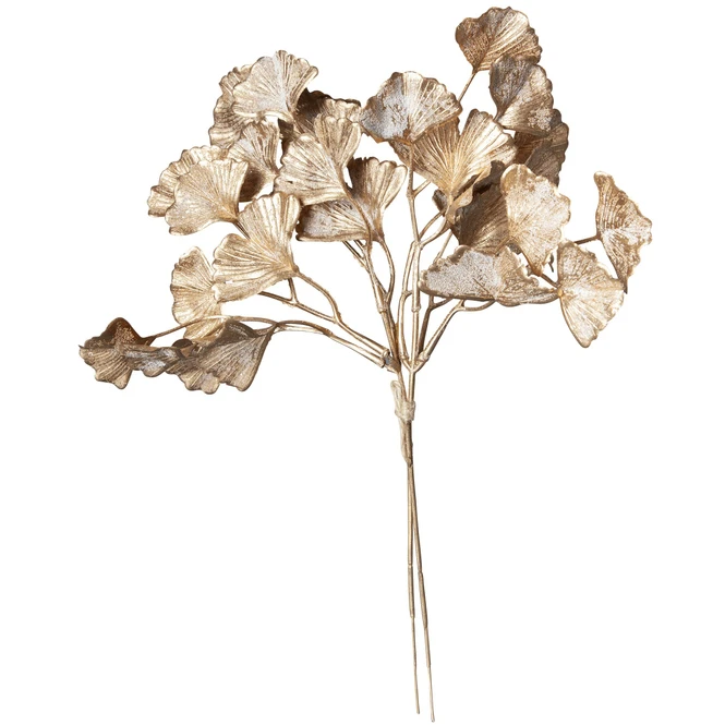 Ginkgobündel - Ca. 30 Cm – Bild 2