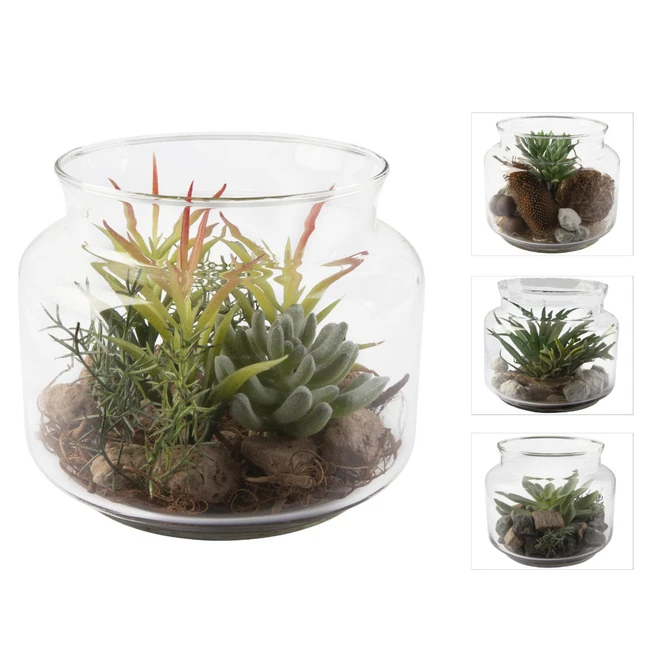 Sukkulente In Vase - Ca. 16 X 13,5 Cm - 1 StĂĽck