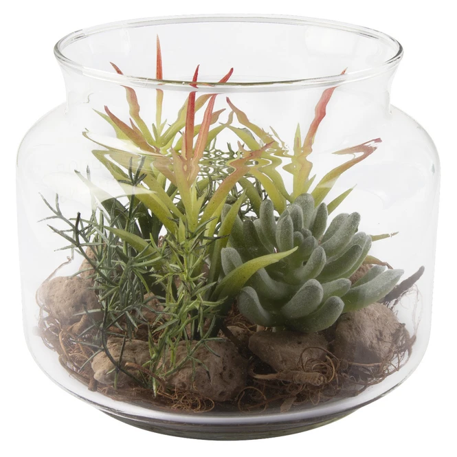 Sukkulente In Vase - Ca. 16 X 13,5 Cm - 1 Stück – Bild 5