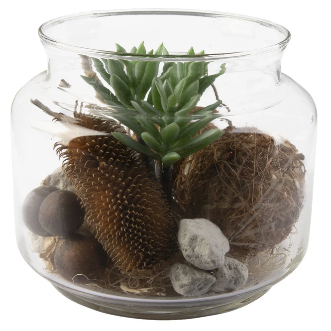 Sukkulente In Vase - Ca. 16 X 13,5 Cm - 1 Stück – Bild 3