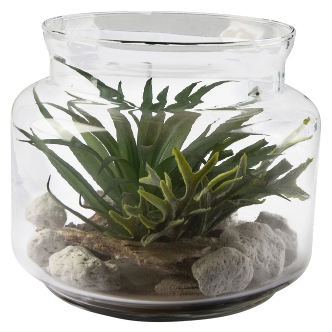 Sukkulente In Vase - Ca. 16 X 13,5 Cm - 1 Stück – Bild 2