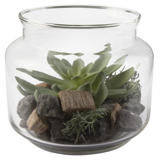 Sukkulente In Vase - Ca. 16 X 13,5 Cm - 1 Stück – Bild 4