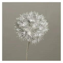Allium - Ca. 70 Cm - Silber