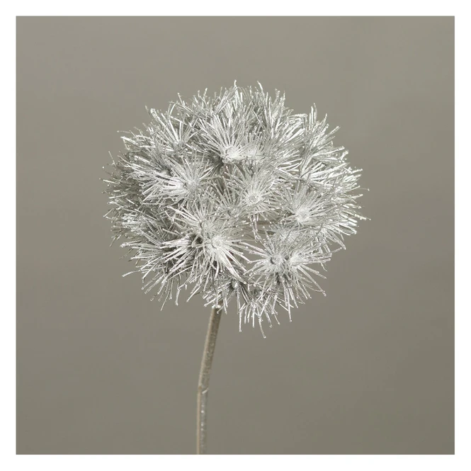 Allium - Ca. 70 Cm - Silber
