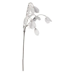 Lunaria - Ca. 63 Cm