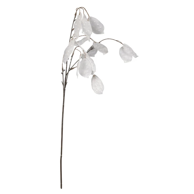Lunaria - Ca. 63 Cm