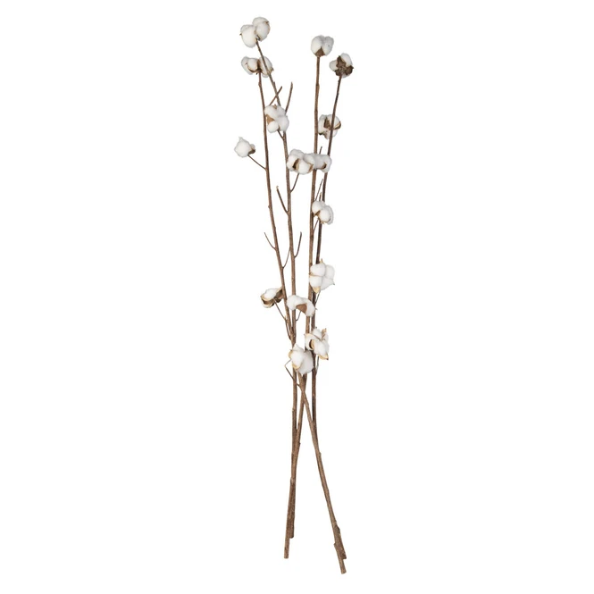 Baumwollzweig - Aus Holz - Ca. 90 Cm â Bild 2