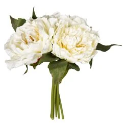 Pfingstrosen - Ca. 26 Cm - Weiß