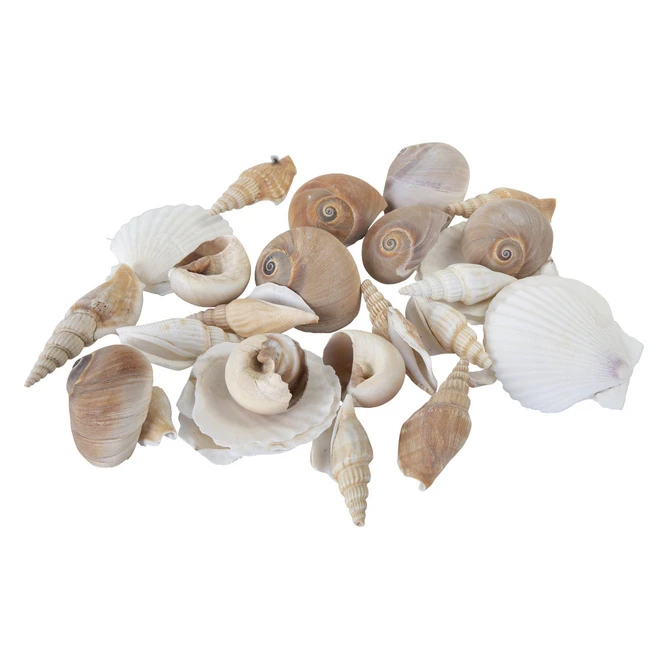 Streudeko - Muscheln - 1 Beutel â Bild 2