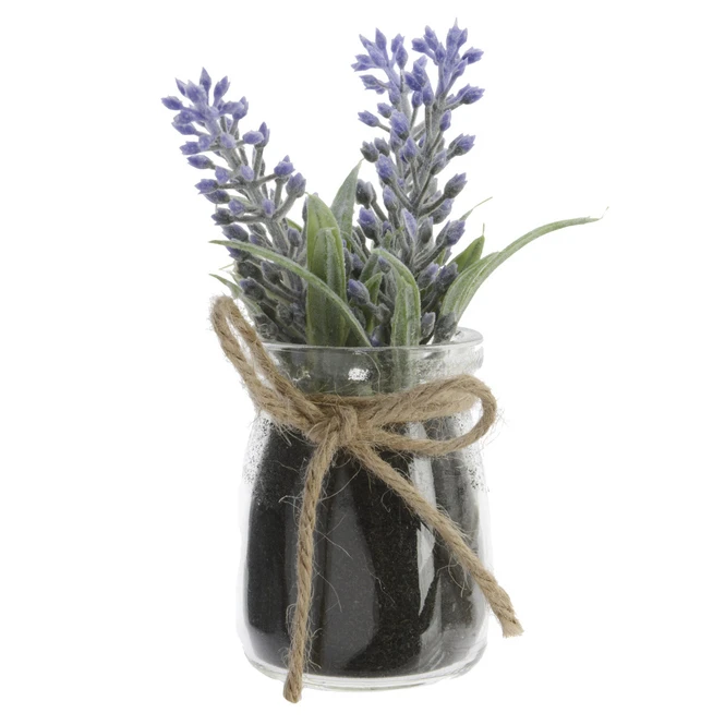 Lavendel In Glas - Ca. 5 X 5 X 15 Cm