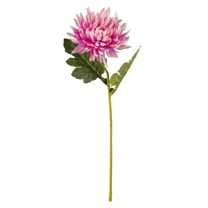 Chrysantheme - Ca. 45 Cm - Rosé