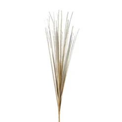 Isolepsis Gras - Ca. 70 Cm - Trocken-Optik