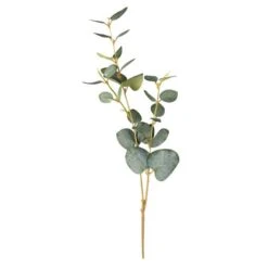 Eukalyptus - Ca. 48 Cm - Grün