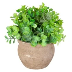 Eukalyptus - Inkl. Topf - Ca. 14 X 19 Cm