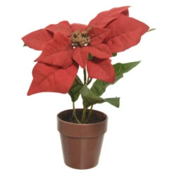 Weihnachtsstern - Ca. 18 X 20 Cm