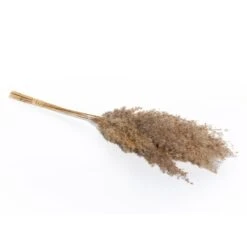 Dekogras - Ca. 75 Cm - Braun