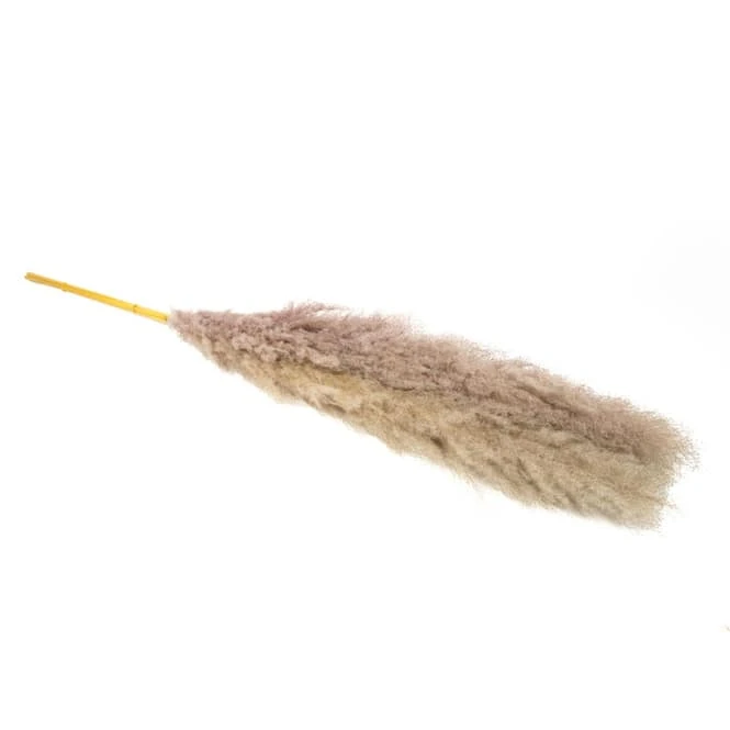 Pampasgras - Ca. 145 Cm â Bild 2