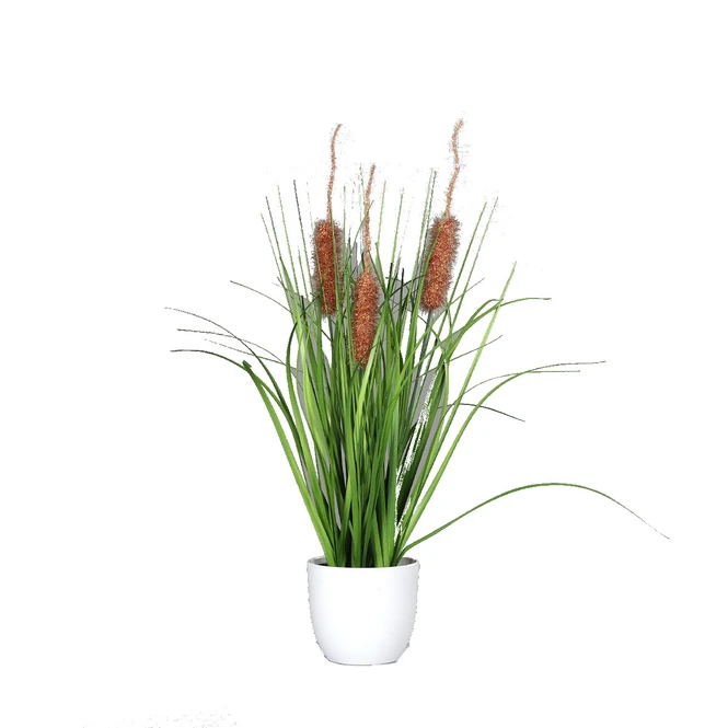 Gras Fruchtstand - Braun - Ca. 48 Cm