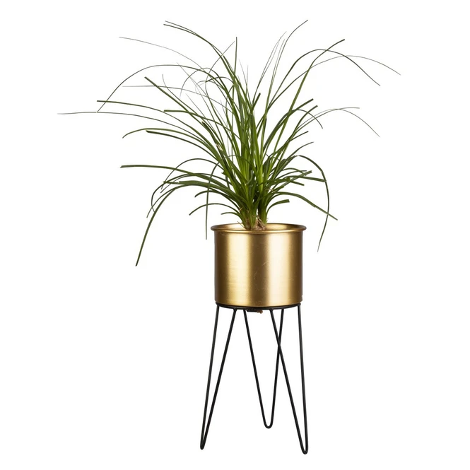 Pflanztopf Mit StĂ€nder - Gold/schwarz - Aus Metall - Ca. 16 X 14 X 33 Cm â Bild 2