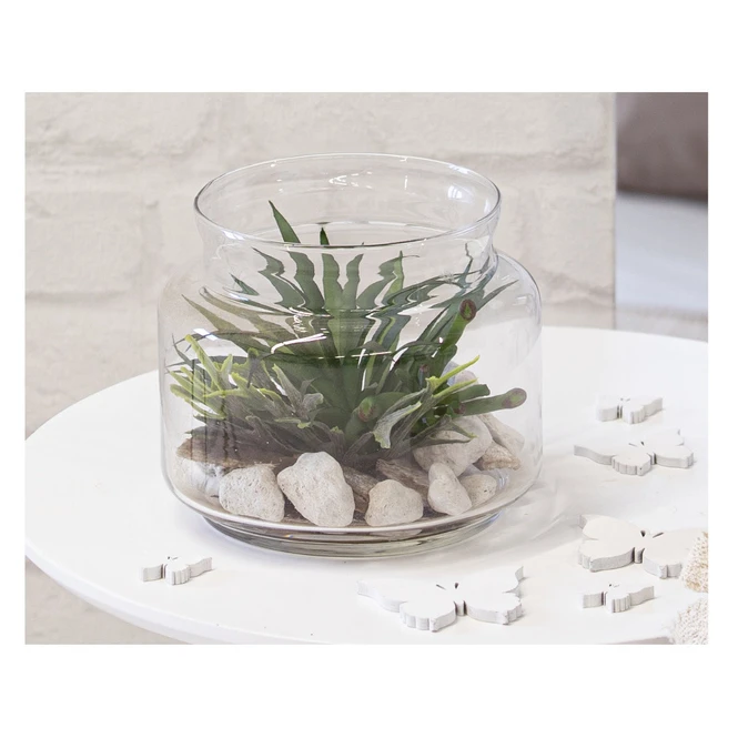 Sukkulente In Vase - Ca. 16 X 13,5 Cm - 1 Stück – Bild 6