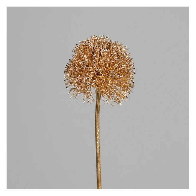 Allium - Ca. 69 Cm - Gold
